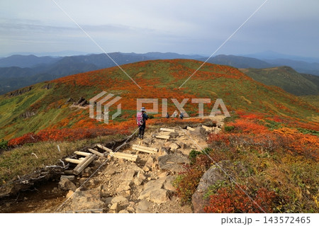 秋の紅葉の栗駒山 143572465