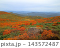秋の紅葉の栗駒山 143572487