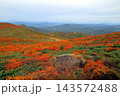 秋の紅葉の栗駒山 143572488