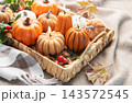 Autumn pumpkin candles burning in wicker tray on blanket 143572545