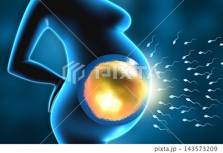 Egg and sperm cells with women 143573209