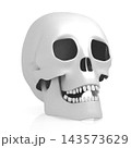 3D human skull on white background 3D human skull on white background 143573629