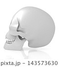 3D human skull on white background 3D human skull on white background 143573630