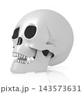 3D human skull on white background 3D human skull on white background 143573631