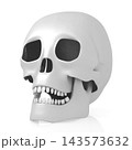 3D human skull on white background 3D human skull on white background 143573632