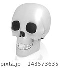3D human skull on white background 3D human skull on white background 143573635