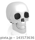 3D human skull on white background 3D human skull on white background 143573636