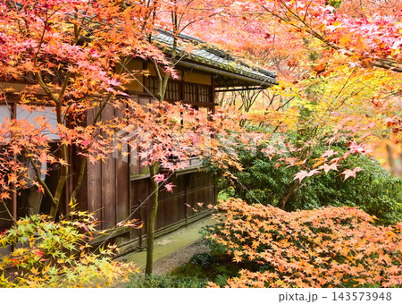 秋の京都 瑠璃光院 紅葉 もみじ 書院 数寄屋造り 秋の京都 瑠璃光院 紅葉 もみじ 書院 数寄屋造り 143573948