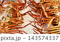 新潟県新潟市 鮮魚市場に並ぶ新鮮な紅ズワイガニ 143574337