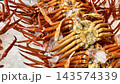 新潟県新潟市 鮮魚市場に並ぶ新鮮な紅ズワイガニ 143574339