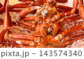新潟県新潟市 鮮魚市場に並ぶ新鮮な紅ズワイガニ 143574340