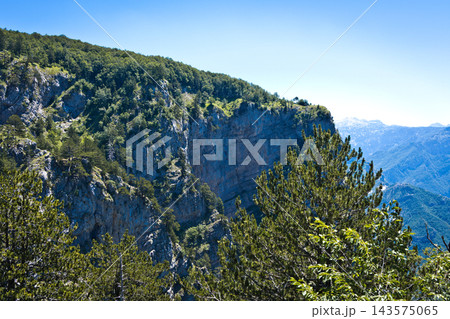 Mountain Cliff Forest Landscape With Pine Trees Overlooking a Scenic Valley and Distant Peaks 143575065
