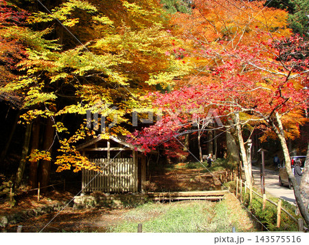 比叡山　延暦寺　境内 143575516