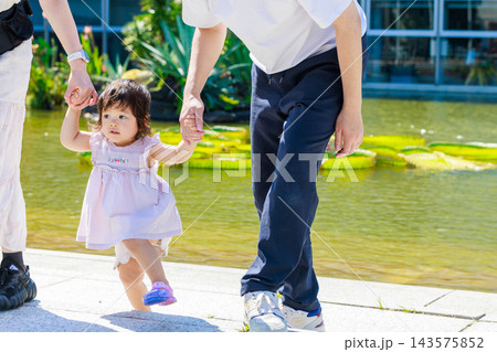 両親に手を引かれて歩くよちよち歩きの女の子 143575852