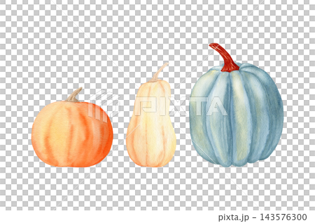 Orange, beige and blue pumpkins watercolor isolated illustration set. Hand drawn botanical gourds clipart for Thanksgiving, autumn holidays, fall design and rustic greeting cards. Detailed drawing. Orange, beige and blue pumpkins watercolor isolated illustration set. Hand drawn botanical gourds clipart for Thanksgiving, autumn holidays, fall design and rustic greeting cards. Detailed drawing. 143576300