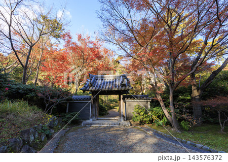 三渓園の紅葉 三渓園の紅葉 143576372