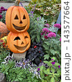秋色に彩られたハロウィンガーデン ～かぼちゃと花々が奏でる秋の風景～ 143577664