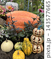 秋色に彩られたハロウィンガーデン ～かぼちゃと花々が奏でる秋の風景～ 143577665