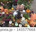 秋色に彩られたハロウィンガーデン ～かぼちゃと花々が奏でる秋の風景～ 143577668