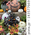 秋色に彩られたハロウィンガーデン ～かぼちゃと花々が奏でる秋の風景～ 143577669
