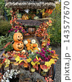 秋色に彩られたハロウィンガーデン ～かぼちゃと花々が奏でる秋の風景～ 143577670