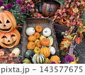 秋色に彩られたハロウィンガーデン ～かぼちゃと花々が奏でる秋の風景～ 143577675