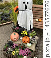 秋色に彩られたハロウィンガーデン ～かぼちゃと花々が奏でる秋の風景～ 143577676