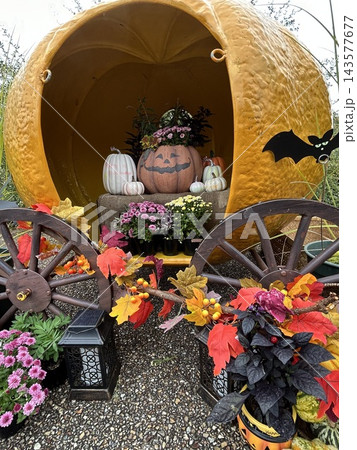 秋色に彩られたハロウィンガーデン ~かぼちゃと花々が奏でる秋の風景~ 秋色に彩られたハロウィンガーデン ~かぼちゃと花々が奏でる秋の風景~ 143577677