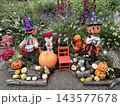 秋色に彩られたハロウィンガーデン ～かぼちゃと花々が奏でる秋の風景～ 143577678