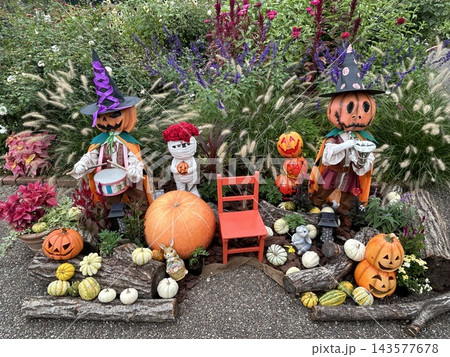 秋色に彩られたハロウィンガーデン ～かぼちゃと花々が奏でる秋の風景～ 143577678