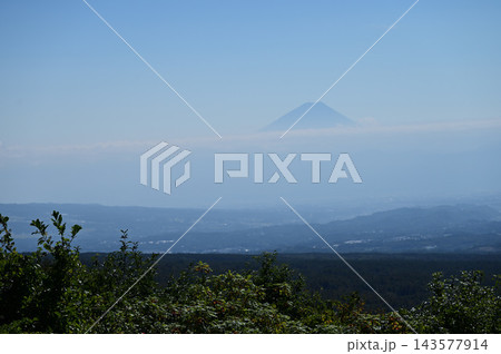 富士見高原創造の森展望台から見る富士山 富士見高原創造の森展望台から見る富士山 143577914