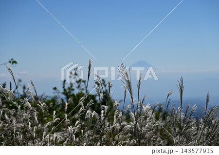富士見高原創造の森展望台から見る富士山 富士見高原創造の森展望台から見る富士山 143577915
