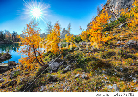 Amazing autumn view of  Lake Federa  at sunrise with majestic rocky mount and colorful trees glowing sunlight in Dolomites 143578793