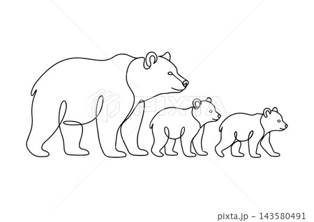 Bears illustration in vector line art drawing style 143580491