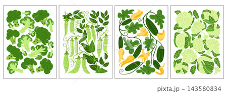 Four botanical vegetable poster illustrations featuring green leaves, vines, peas, squash, and lettuce arranged as decorative flat compositions 143580834