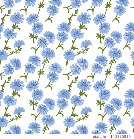 Seamless chicory pattern with blue radial flowers and green leafy stems arranged across a white background as a repeating botanical surface pattern Seamless chicory pattern with blue radial flowers and green leafy stems arranged across a white background as a repeating botanical surface pattern 143580839