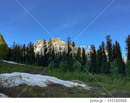 Snow-covered mountain peak surrounded by dense evergreen forest. Beautiful view on Rocky Mountains in Canada, Yoho national park, British Columbia. Snow-covered mountain peak surrounded by dense evergreen forest. Beautiful view on Rocky Mountains in Canada, Yoho national park, British Columbia. 143580986