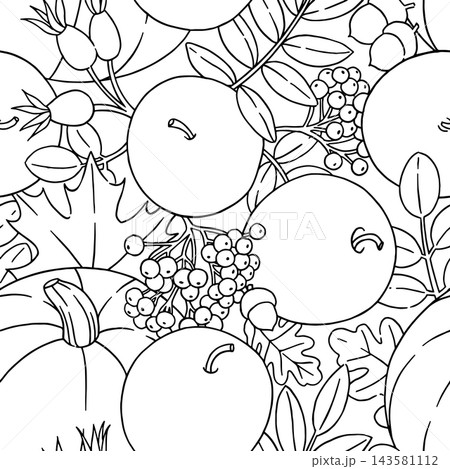 coloring page seamless pattern with autumn harvest. Vector outline illustration. 143581112