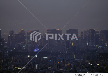 リレー・フォー・ライフ 大阪城紫色ライトアップ 143581428