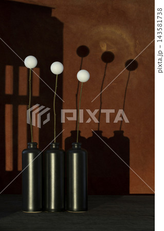 Still life with white balloons on sticks in black bottles and a shadow against the background 143581738