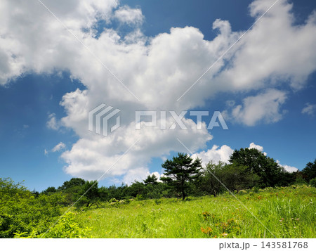 【山の風景】長野県・八島ヶ原湿原 【山の風景】長野県・八島ヶ原湿原 143581768
