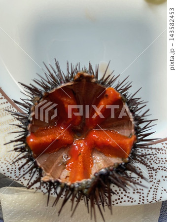 Fresh sea urchins cut open and ready to eat as a seafood delicacy Fresh sea urchins cut open and ready to eat as a seafood delicacy 143582453