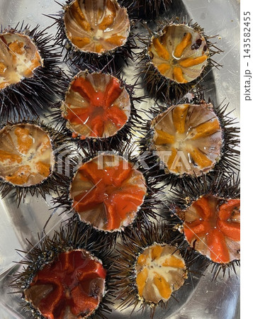 Fresh sea urchins cut open and ready to eat as a seafood delicacy Fresh sea urchins cut open and ready to eat as a seafood delicacy 143582455