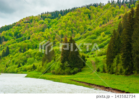 landscape with mountains, forest and a river in front. beautiful scenery in spring. cloudy sky 143582734