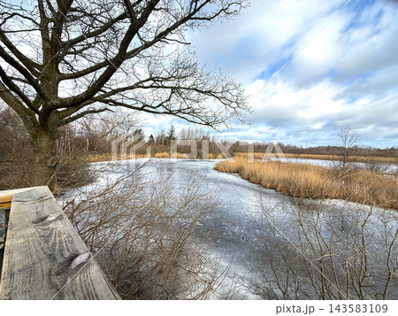 Frozen pond surrounded by dry grass 143583109