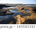 Wide landscape of a rocky coastline during low tide in Karelia, White Sea. Smooth bedrock with orange and grey textures and water pools reflecting the sky. Coastal nature background 143583192