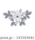 Vector illustration of a New Year's composition featuring a poinsettia flower, spruce sprigs, and snowberries. A line drawing suitable for greeting cards, packaging, and printed materials. 143583682