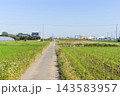 千葉県松戸市主水新田周辺2026年10月 143583957