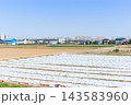 千葉県松戸市主水新田周辺2026年10月 143583960