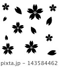 桜の花と花びらのシルエットセット　モノクロ 143584462